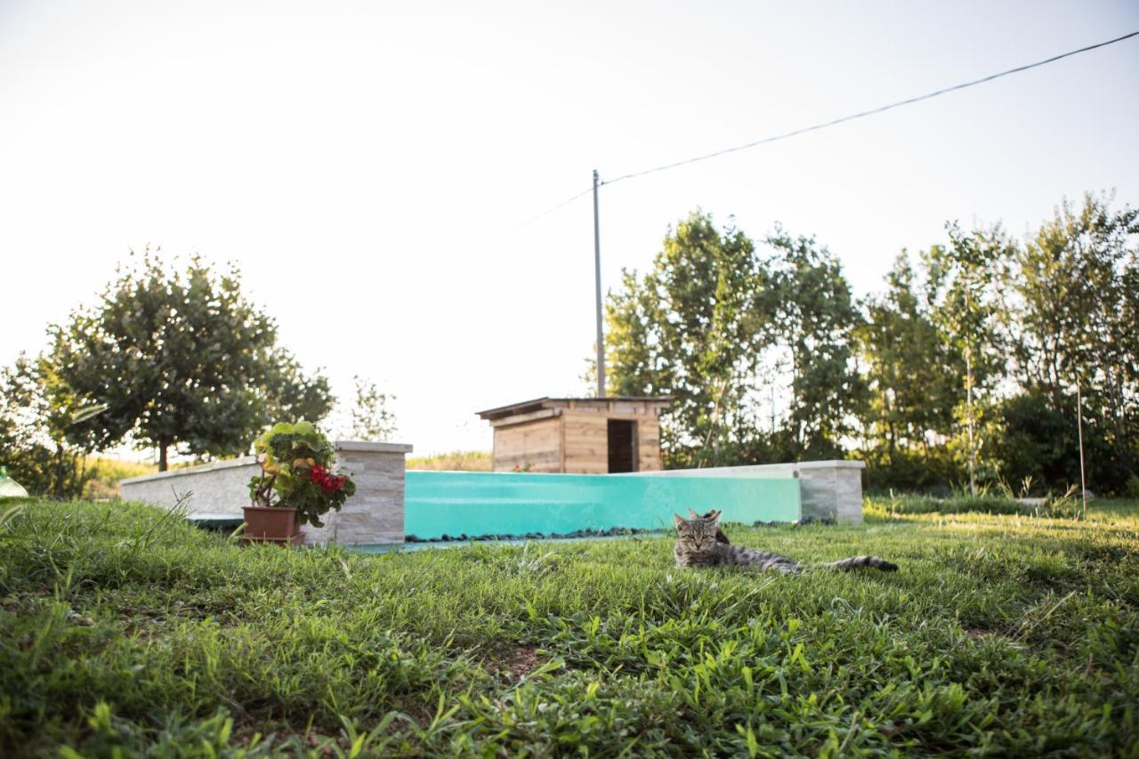 B&B Casa Campagnari Roverbella Luaran gambar